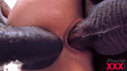 White Girl BBC Oreo DP