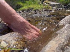 feet foot