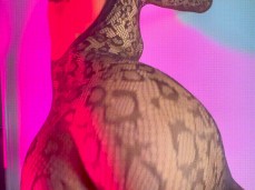lsgrvv gif
