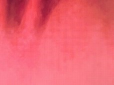 Sexy gif