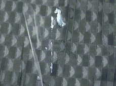 a5a5a6a7a99aa gif