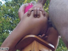 analfuck gif