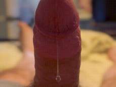 Dude makes his hard, hot cock dirp with precum 0103-1 8 gif