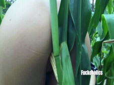 fucking corn lol gif