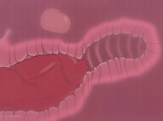 Big Load gif