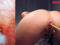 anal creampie gif