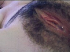 pussy gif