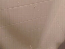 cock cum gif
