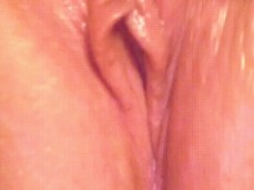 pussy gif