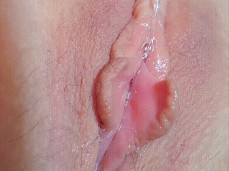 wetpussy gif