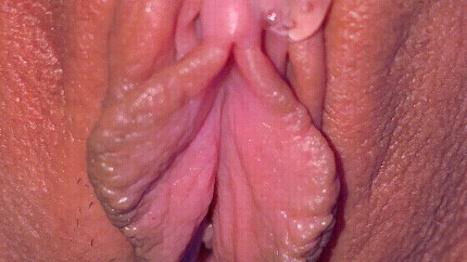 pussy