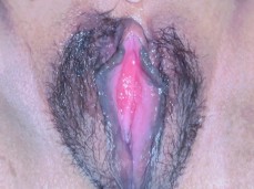 pussy gif