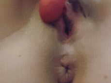 toypussy gif