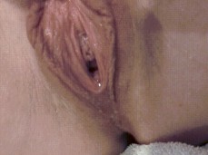 pussy gif
