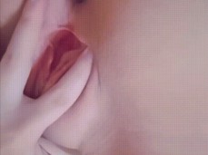 pink taco gif