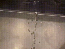 a5a6a7a8a89a gif