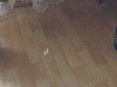 a5a5a5a6a7a7a8 gif