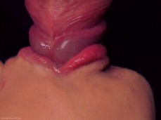 12345 gif