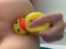 Ducky gif