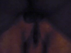 Bombando e gozando na cara da gorda puta gif