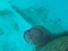 Ejaculation piscine gif