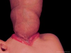 blowjob gif