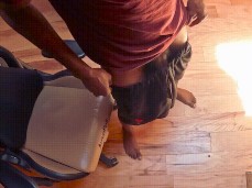 Enjoying the morning gif
