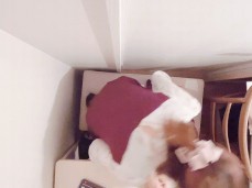 japonaise gif