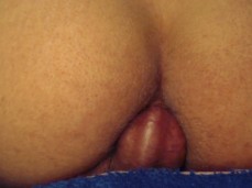 cumming in own ass gif