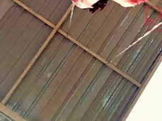 parkpussy gif
