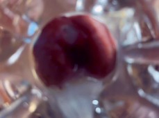 Sexy clip gif