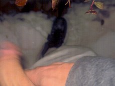 hiiii gif