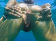 spreadpussy gif