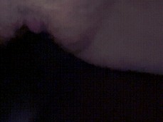 Erbbrds gif