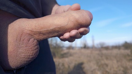 i like cock