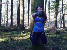 Bound & Found gif