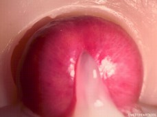 CREAMPIE INSIDE PUSSY 4K CUM gif